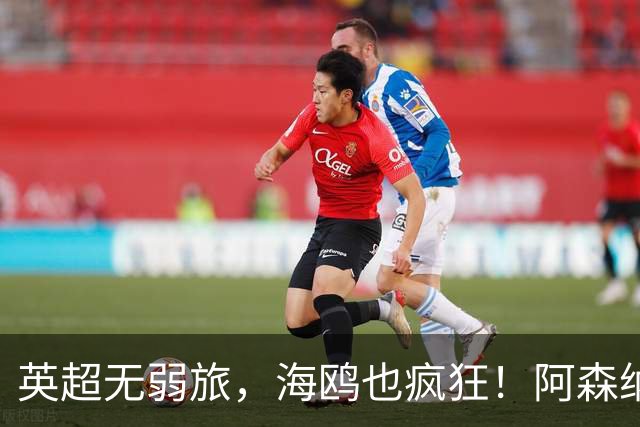 英超无弱旅，海鸥也疯狂！阿森纳3球惨败，拉亚成了远射背景板